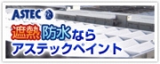 アステックペイント