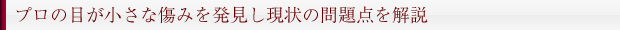 プロの目が小さな傷みを発見し現状の問題点を解説